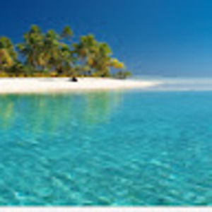 Meet your Posher, Audrey